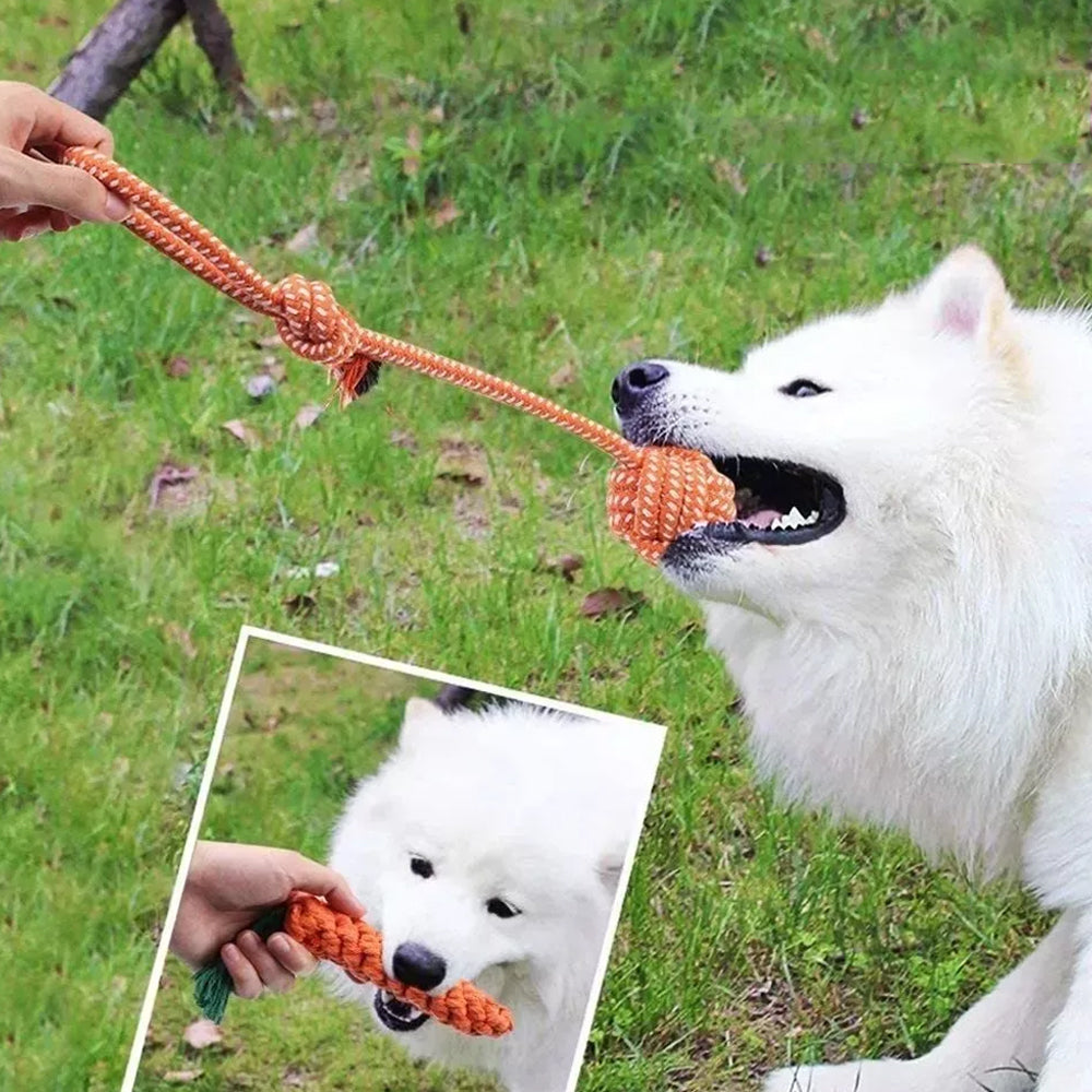 10PCS Pets Durable Cotton Rope Pull Teeth Clean Chew Toy Set_9